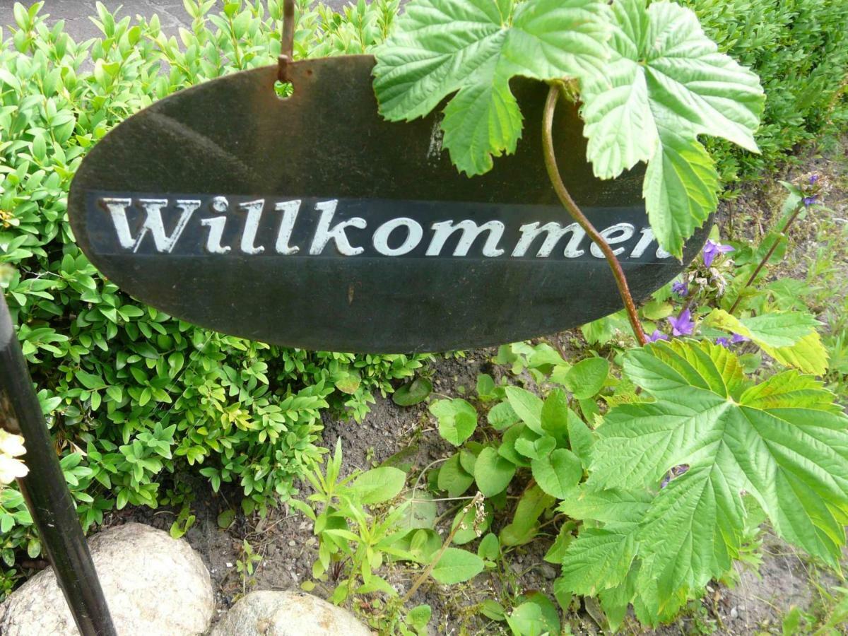 Pension Zur Kirchsee Insel Poel Kültér fotó